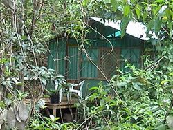 RAINFORST BUNGALOWS